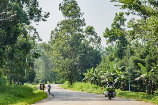 Aerial view from helicopter between Beni and Butembo, Democratic Republic of the Congo
